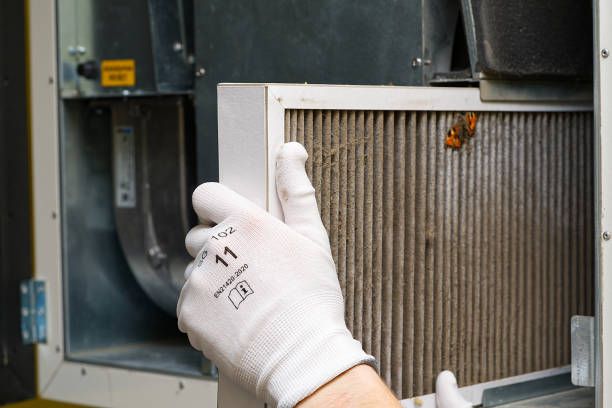 Best Commercial Air Duct Cleaning  in Edmore, MI