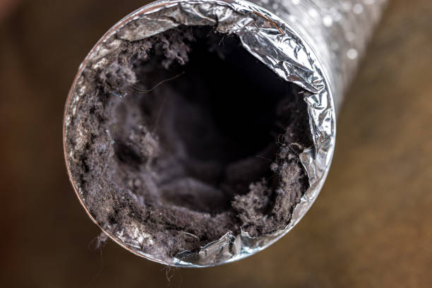 Best HVAC Duct Inspection Services  in Edmore, MI